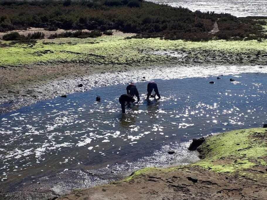 Ria Formosa Pineview Villa Faro Bagian luar foto